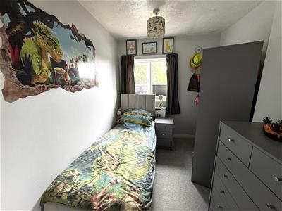 Picture 14
